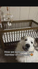 Customer video — Baby Mobile